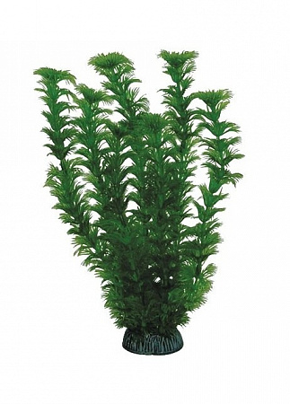 Растение пласт. 1969P Купресус 19см (пакет) 1*8