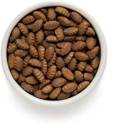 Грандорф Дог 12кг д/с Крупные породы Ягненок/рис