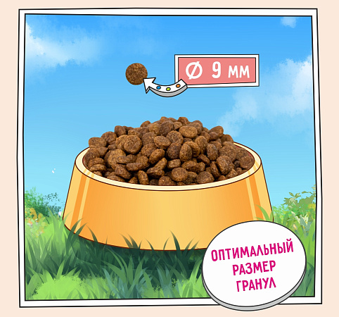 ZILLII для собак мелких пород 2 кг с чувствит. пищевар. Белая рыба