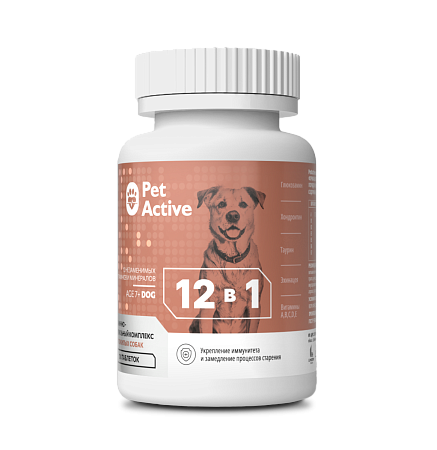 ПетАктив для пожилых собак Сохранение здоровья 12в1 80г