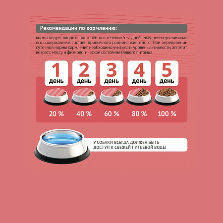 ПроБаланс 12кг Иммуно Эдалт Актив для активных собак