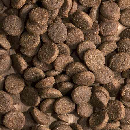 ПроБаланс 12кг Иммуно Эдалт Актив для активных собак