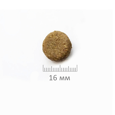 ПроБаланс 12кг Иммуно Эдалт Актив для активных собак