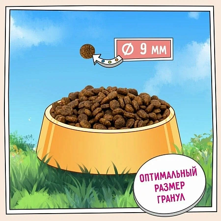 Зилли для кошек 10кг Лайт/Стерилизед Индейка/утка