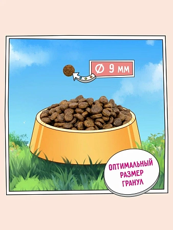 Зилли для кошек 10кг здоровье кожи и шерсти Индейка/Ягнёнок